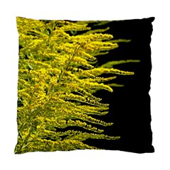 Golden Rod Gold Diamond Standard Cushion Case (one Side) by BangZart