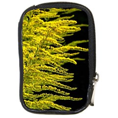 Golden Rod Gold Diamond Compact Camera Cases by BangZart