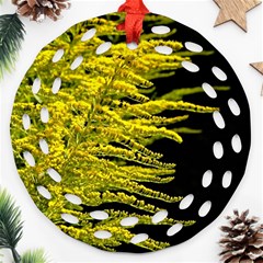 Golden Rod Gold Diamond Ornament (round Filigree) by BangZart