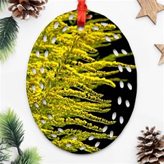 Golden Rod Gold Diamond Ornament (oval Filigree)