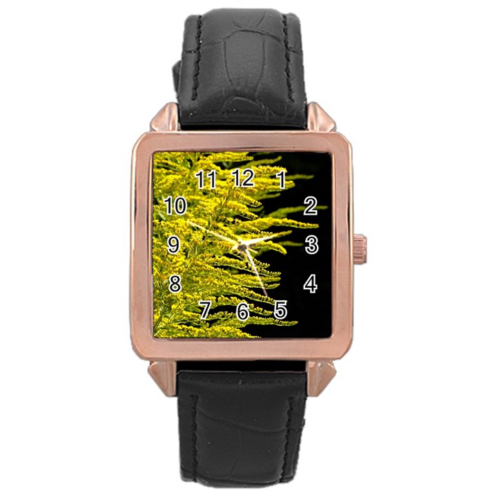 Golden Rod Gold Diamond Rose Gold Leather Watch 