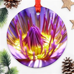 Flower Blossom Bloom Nature Ornament (round) by BangZart