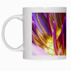 Flower Blossom Bloom Nature White Mugs by BangZart