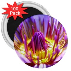 Flower Blossom Bloom Nature 3  Magnets (100 Pack) by BangZart