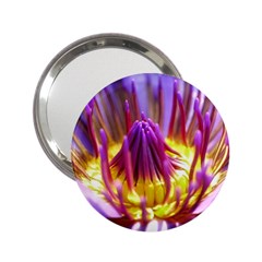 Flower Blossom Bloom Nature 2 25  Handbag Mirrors by BangZart