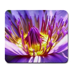 Flower Blossom Bloom Nature Large Mousepads by BangZart