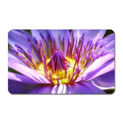 Flower Blossom Bloom Nature Magnet (rectangular)