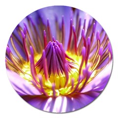 Flower Blossom Bloom Nature Magnet 5  (round) by BangZart