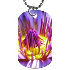 Flower Blossom Bloom Nature Dog Tag (one Side) by BangZart