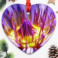 Flower Blossom Bloom Nature Heart Ornament (two Sides) by BangZart