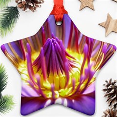 Flower Blossom Bloom Nature Star Ornament (two Sides) by BangZart