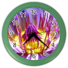 Flower Blossom Bloom Nature Color Wall Clocks by BangZart