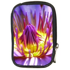 Flower Blossom Bloom Nature Compact Camera Cases by BangZart