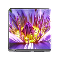 Flower Blossom Bloom Nature Memory Card Reader (square) by BangZart