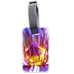 Flower Blossom Bloom Nature Luggage Tags (two Sides) by BangZart