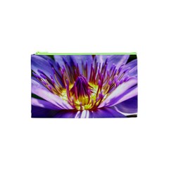 Flower Blossom Bloom Nature Cosmetic Bag (xs) by BangZart