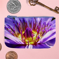 Flower Blossom Bloom Nature Large Coin Purse by BangZart