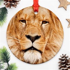 Africa African Animal Cat Close Up Ornament (round) by BangZart