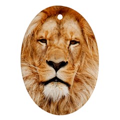 Africa African Animal Cat Close Up Ornament (oval) by BangZart