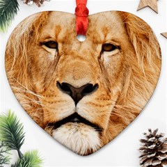 Africa African Animal Cat Close Up Ornament (heart) by BangZart