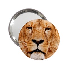 Africa African Animal Cat Close Up 2 25  Handbag Mirrors by BangZart