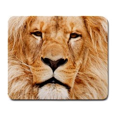 Africa African Animal Cat Close Up Large Mousepads by BangZart