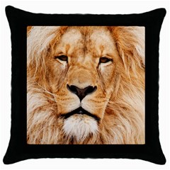 Africa African Animal Cat Close Up Throw Pillow Case (black) by BangZart