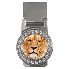 Africa African Animal Cat Close Up Money Clips (cz)  by BangZart