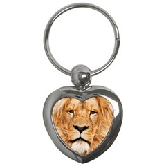 Africa African Animal Cat Close Up Key Chains (heart)  by BangZart