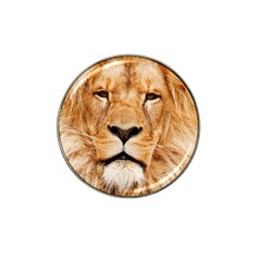 Africa African Animal Cat Close Up Hat Clip Ball Marker by BangZart