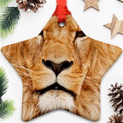 Africa African Animal Cat Close Up Star Ornament (two Sides) by BangZart