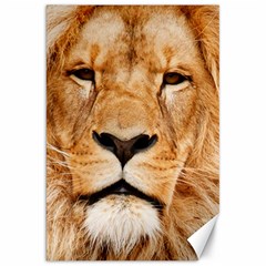 Africa African Animal Cat Close Up Canvas 20  X 30   by BangZart