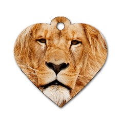 Africa African Animal Cat Close Up Dog Tag Heart (two Sides) by BangZart