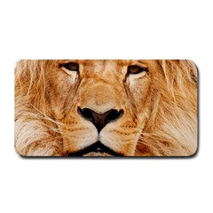 Africa African Animal Cat Close Up Medium Bar Mats by BangZart