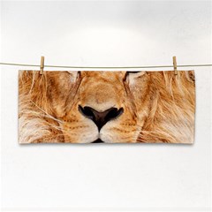 Africa African Animal Cat Close Up Cosmetic Storage Cases by BangZart