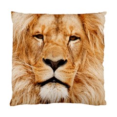 Africa African Animal Cat Close Up Standard Cushion Case (two Sides) by BangZart