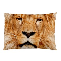 Africa African Animal Cat Close Up Pillow Case by BangZart