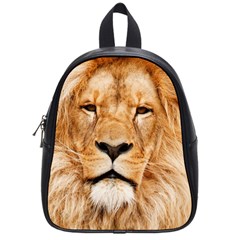 Africa African Animal Cat Close Up School Bag (small) by BangZart