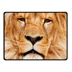 Africa African Animal Cat Close Up Fleece Blanket (small) by BangZart