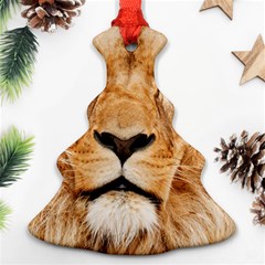 Africa African Animal Cat Close Up Ornament (christmas Tree)  by BangZart