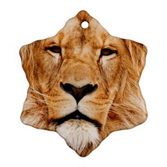 Africa African Animal Cat Close Up Snowflake Ornament (two Sides) by BangZart