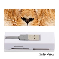 Africa African Animal Cat Close Up Memory Card Reader (stick)  by BangZart