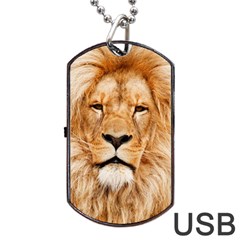 Africa African Animal Cat Close Up Dog Tag Usb Flash (one Side) by BangZart