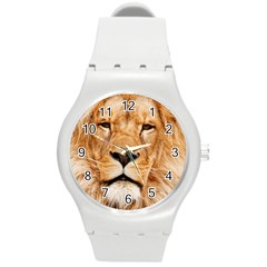 Africa African Animal Cat Close Up Round Plastic Sport Watch (m) by BangZart