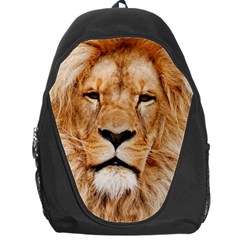 Africa African Animal Cat Close Up Backpack Bag by BangZart