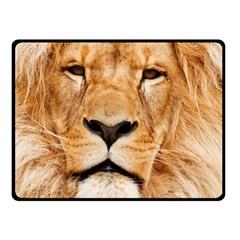 Africa African Animal Cat Close Up Double Sided Fleece Blanket (small)  by BangZart