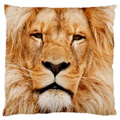 Africa African Animal Cat Close Up Standard Flano Cushion Case (one Side) by BangZart