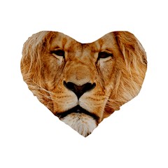 Africa African Animal Cat Close Up Standard 16  Premium Flano Heart Shape Cushions by BangZart