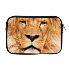 Africa African Animal Cat Close Up Apple Macbook Pro 17  Zipper Case by BangZart