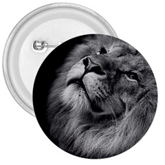 Feline Lion Tawny African Zoo 3  Buttons by BangZart